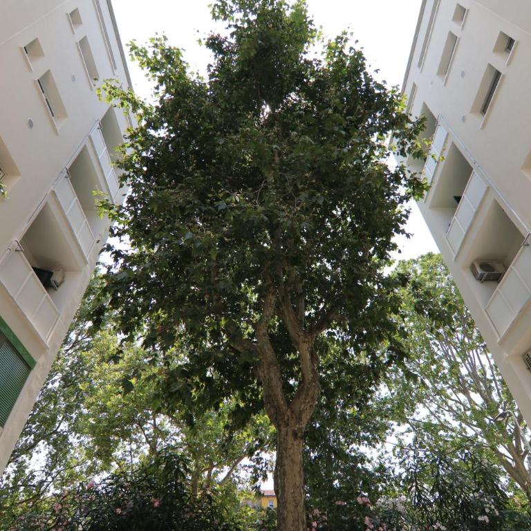 Casa Argonne - Flat -Rised Floor Apartment - 34