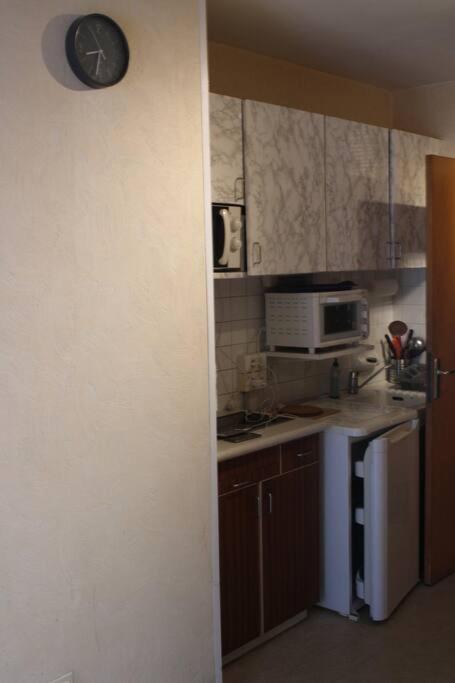 Central studio ideal for hikers or skiers - Appartement 1 Chambre - 9