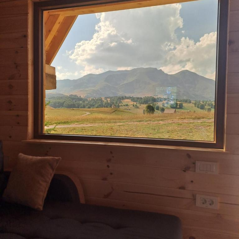 Organic Family Farm - Bungalow - 2