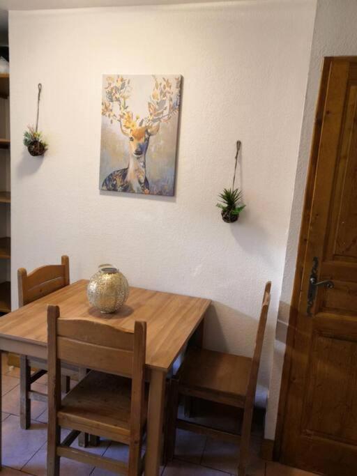 Très Joli T2 aux pieds des pistes avec Balcon - Appartement 1 Chambre - 13