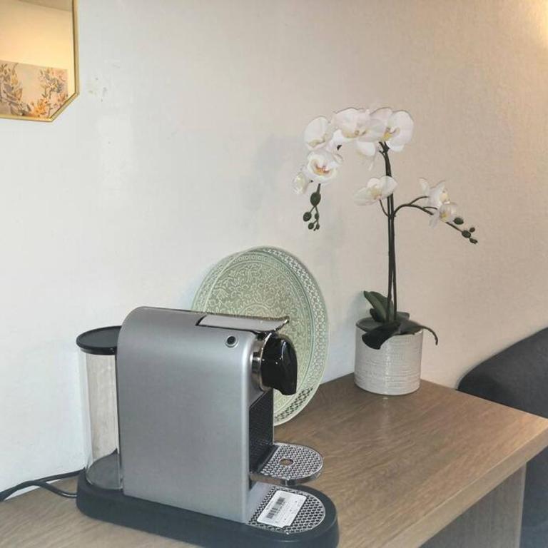 Très Joli T2 aux pieds des pistes avec Balcon - Appartement 1 Chambre - 19