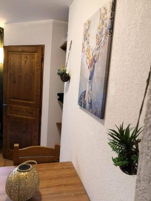 Très Joli T2 aux pieds des pistes avec Balcon - Appartement 1 Chambre - 35