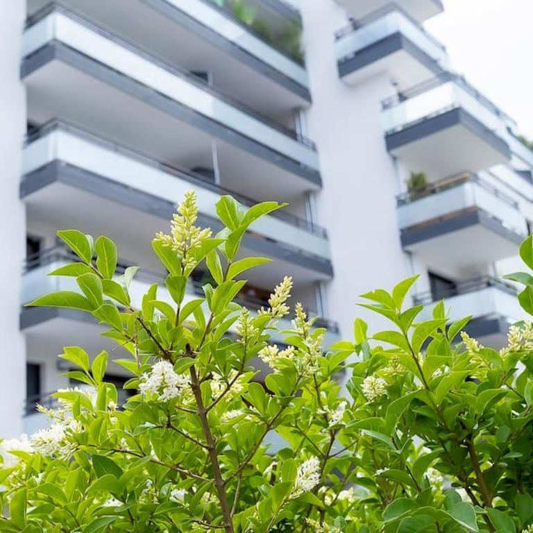 Le Nid des Romains - T2 neuf - Balcon - vue - One-Bedroom Apartment - 18