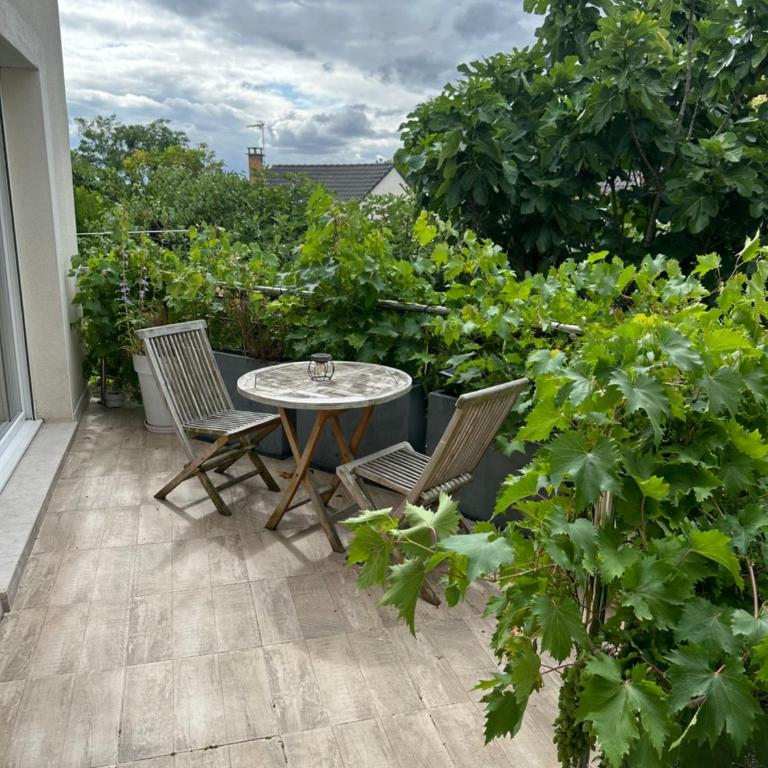 Pink Tropical Champagne - Apartment mit 1 Schlafzimmer - 59