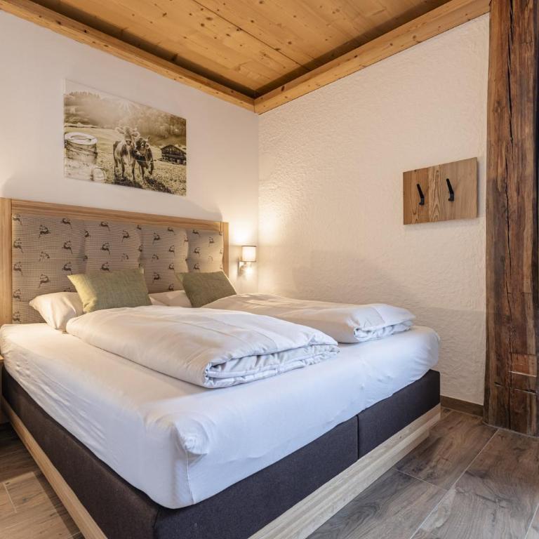 Premium Tauernstyle Golling - Apartamento con vistas al jardín - 10