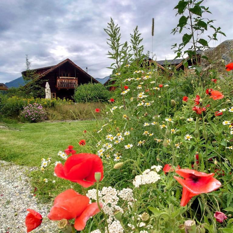 Alm Chalet Grosseck - Chalet - 16