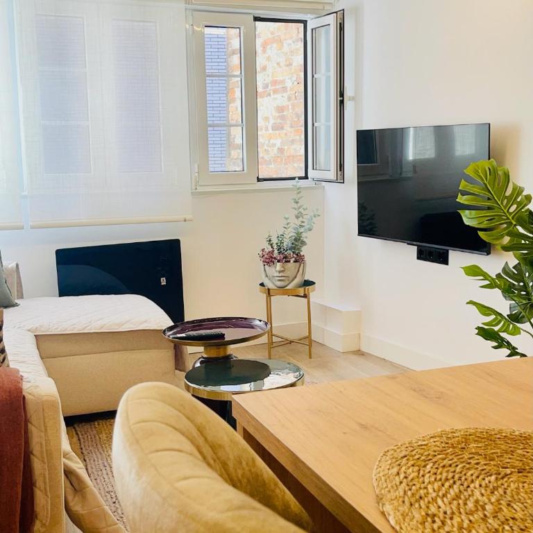 Apartamento Magdalena - Apartamento de 1 dormitorio - 30