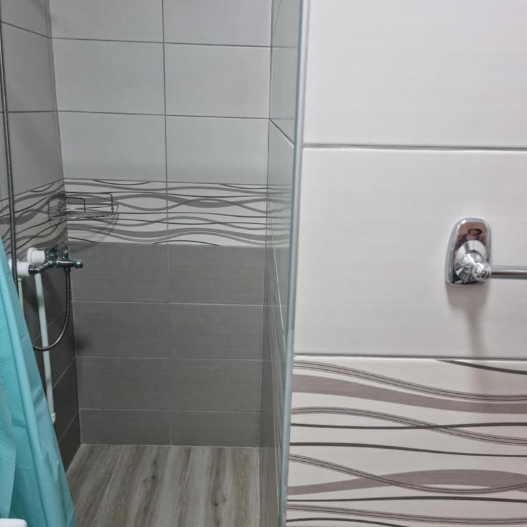 Apartmani Zvezdana - Deluks Dvokrevetni Studio sa Bračnim Krevetom - 11