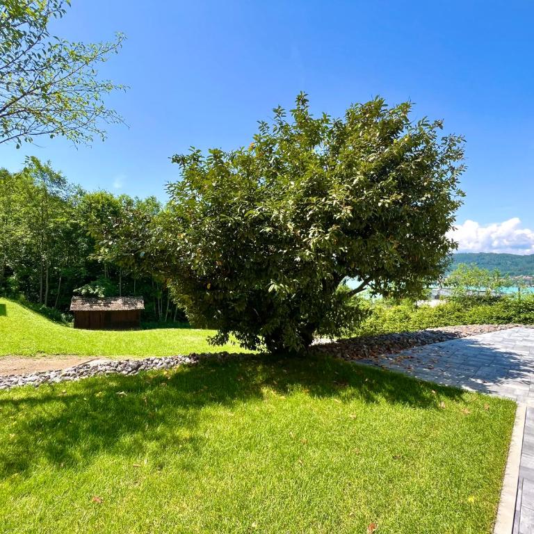 SEE-Residenz ST. ANNA - mit exklusivem Seezugang - Appartamento con 1 Camera da Letto - 16