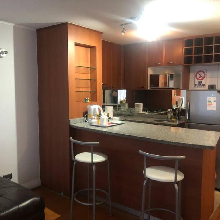 Excelente Departamento con inmejorable ubicación en Providencia - Apartamento de 1 dormitorio - 14