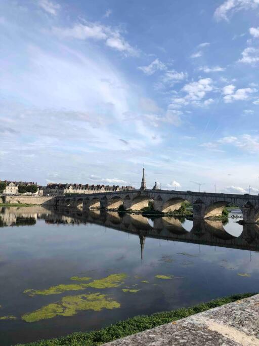 Appt à Blois : Art et Histoire ! - Apartment mit 1 Schlafzimmer - 13