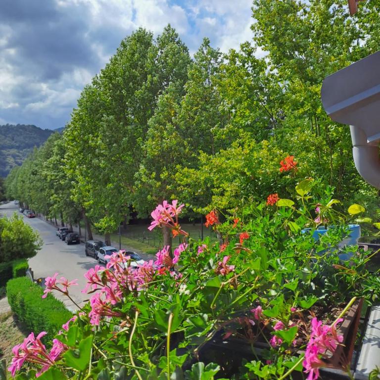 Casa Alby - Appartamento con 2 Camere da Letto - 26