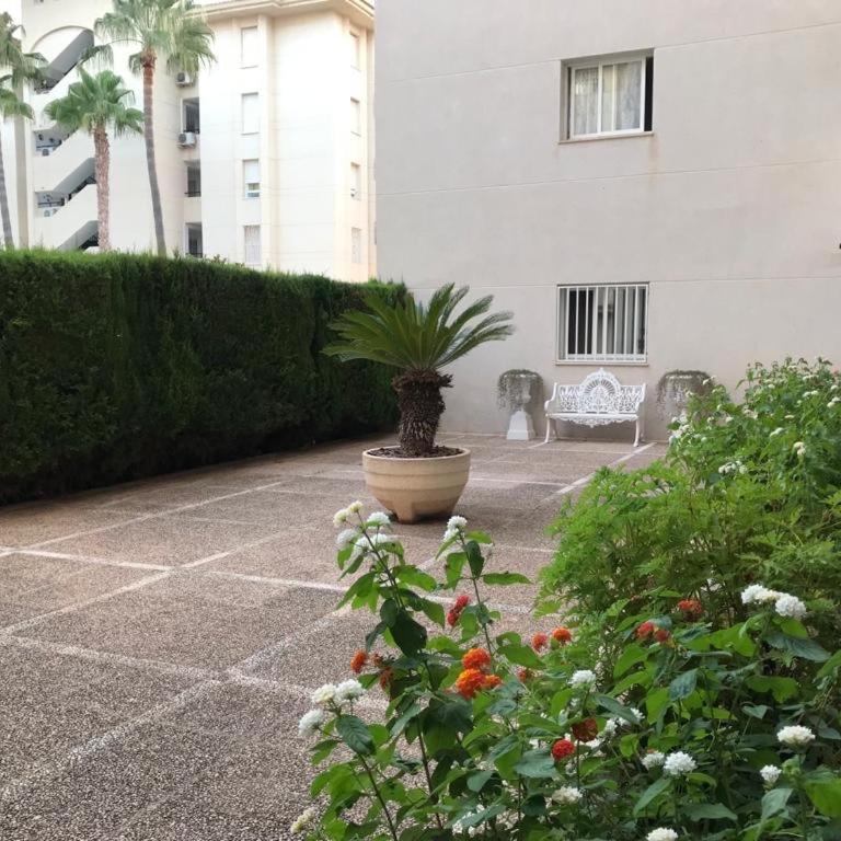 Apartamento Bulevar en Playa Albir - Apartamento de 3 dormitorios - 30