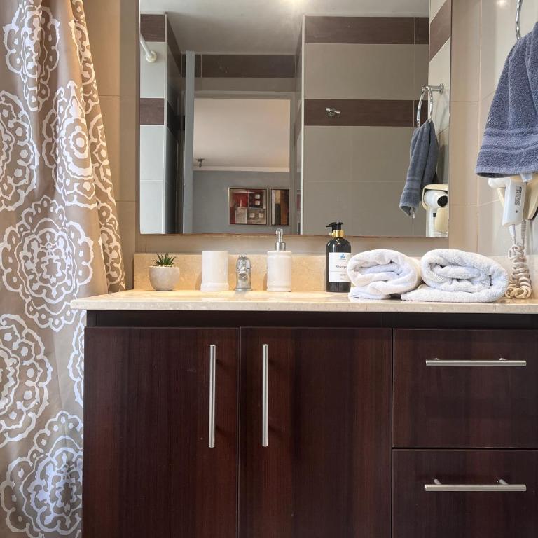 Apartamentos City Centro Manuel Montt - Apartamento de 2 dormitorios - 25