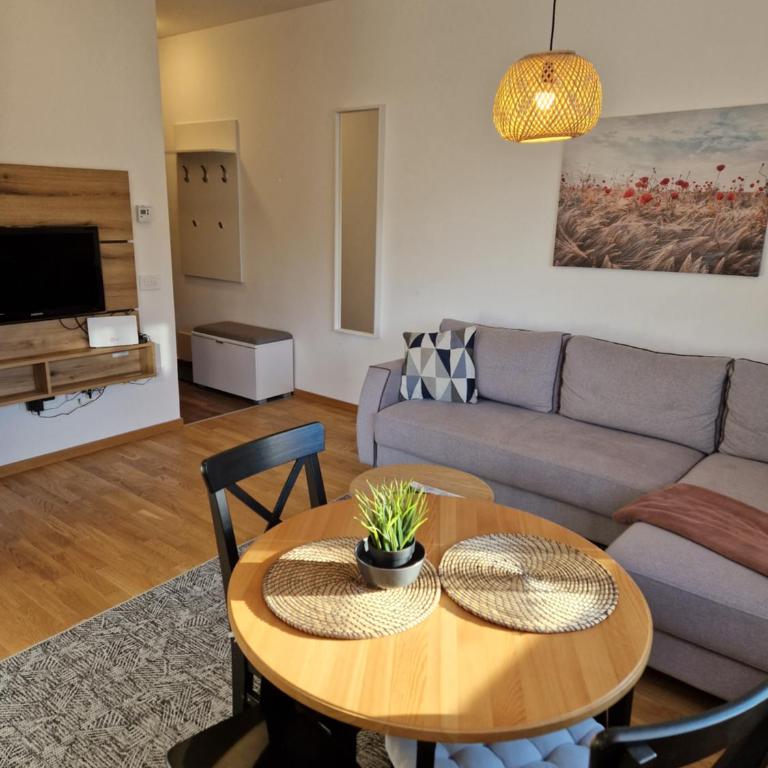 Apartman Segemonija Zlatibor - Apartman sa 1 Spavaćom Sobom - 19