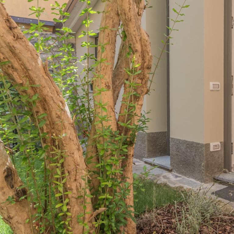 The Secret Garden - Appartamento Monolocale - 19
