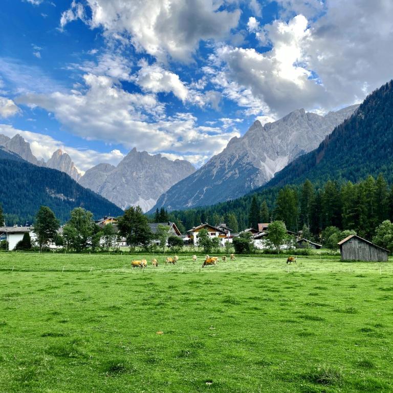Le Crode - Appartamento con 2 Camere da Letto - 12