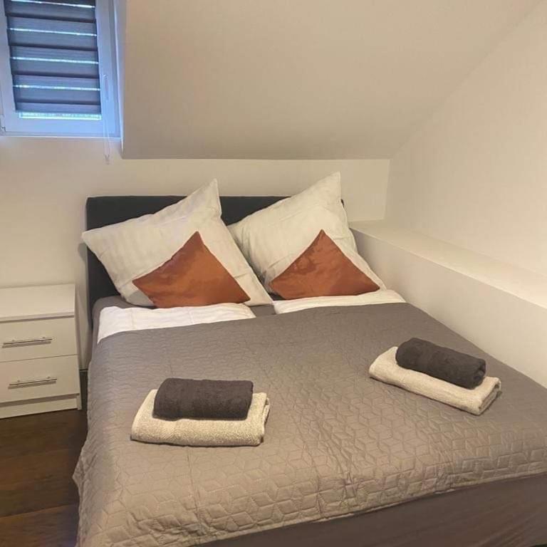 Vila Kostic - Apartman sa 2 Spavaće Sobe - 9
