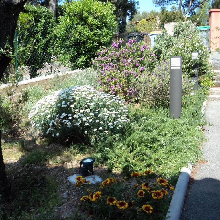 Villa Esterel Plage - Two-Bedroom Apartment - 13