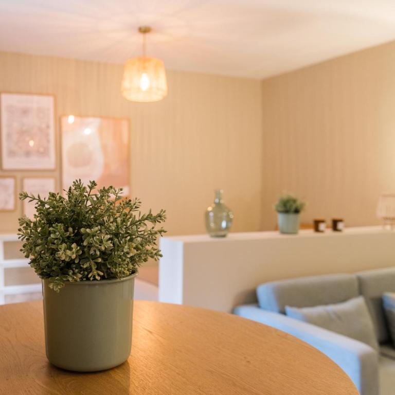 La Rousserolle de Sarlat - Appartement 1 Chambre - 5