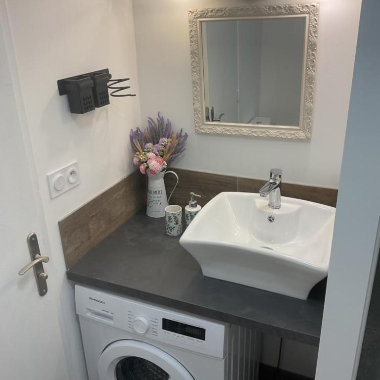 Domaine Le Rocher d Argent avec Piscine Extérieur ,Jacuzzi Intérieur et Salle de jeux - Appartamento con 2 Camere da Letto - 35