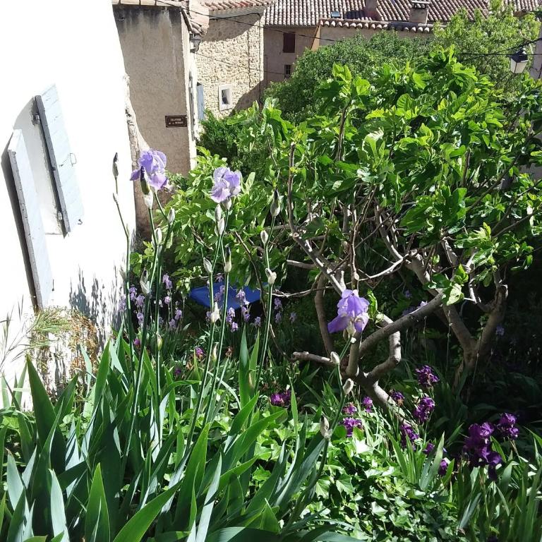 Chambre d'hôtes chez Gwennaelle - Chambre Double - Vue sur Jardin - 3