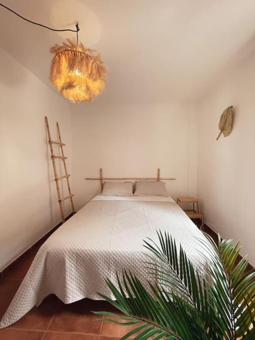 Big Spacious Casa Bamboo Apartment Corralejo Relax, Pool and Parking - Apartamento de 3 dormitorios - 29