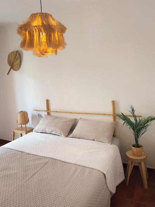 Big Spacious Casa Bamboo Apartment Corralejo Relax, Pool and Parking - Apartamento de 3 dormitorios - 7