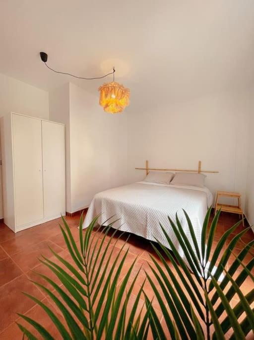 Big Spacious Casa Bamboo Apartment Corralejo Relax, Pool and Parking - Apartamento de 3 dormitorios - 31