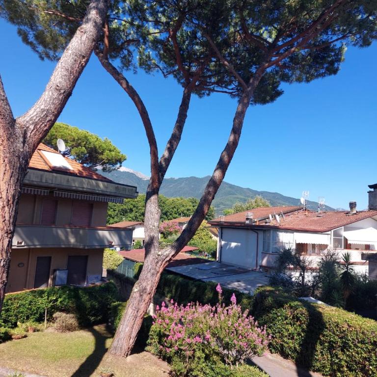 Appartamento al mare di Liguria e Toscana - Casa con 1 Camera da Letto - 9