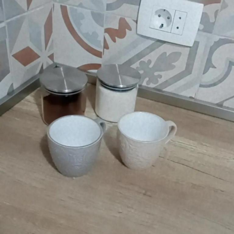 Apartman-Studio Bobana - Apartman sa 1 Spavaćom Sobom - 10