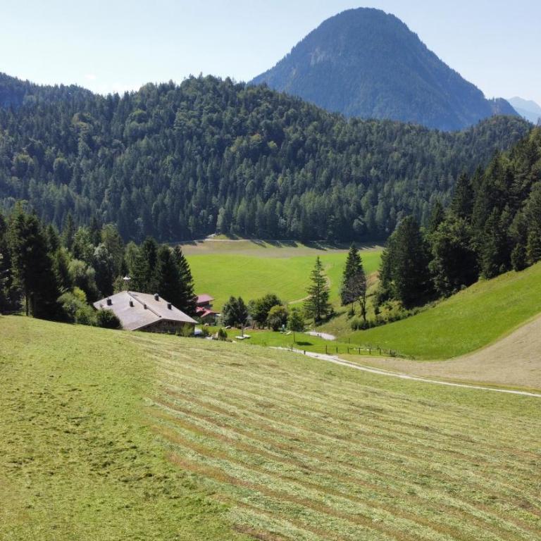 ChaletWK - Luxury old wood mountain chalet in a sunny secluded location with gym, sauna & whirlpool - Villa Deluxe - 43