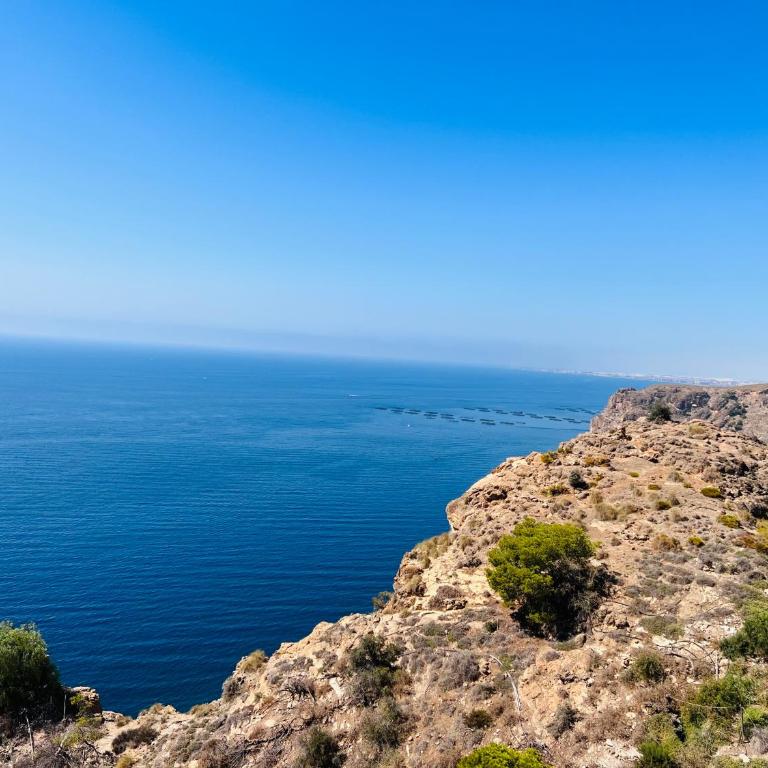 Horizonte Azul - Two-Bedroom Standard Apartment - 30