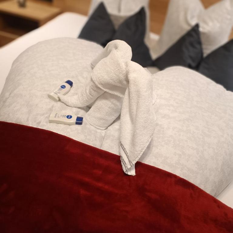 Alpenoase Horbergbahn - Appartamento con 2 Camere da Letto - 26