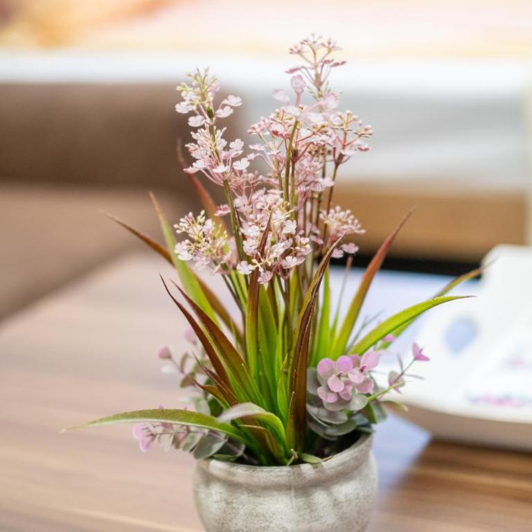 Guesthouse Rose - Superior Dvokrevetna Soba sa Zasebnim Krevetima - 15