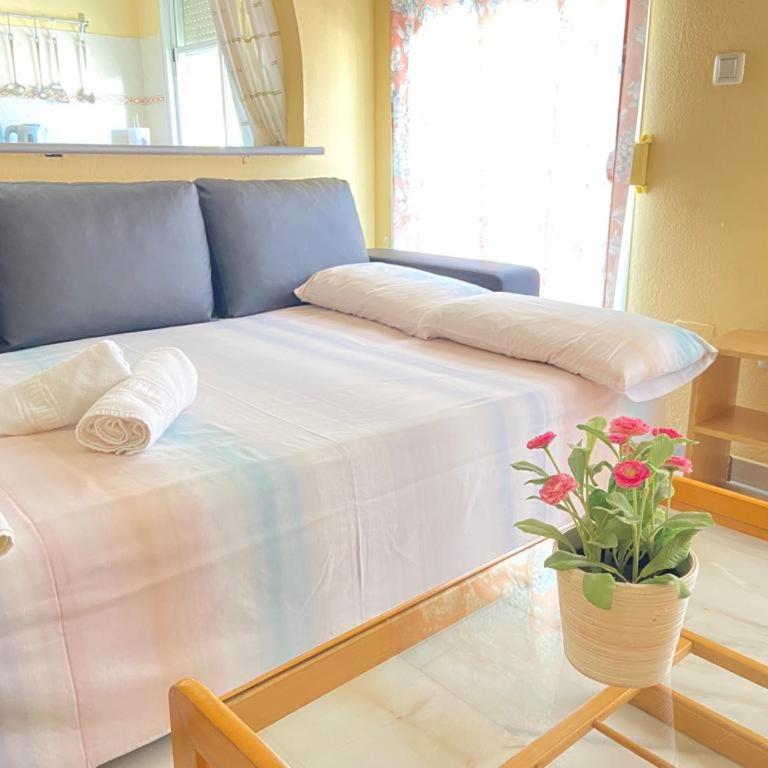 Carlos Haya Mare Nostrum 2 - Apartamento de 1 dormitorio - 12