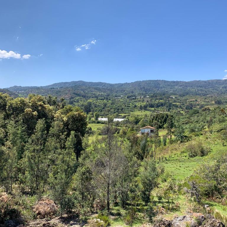 Rivera Campestre - Casa de 5 dormitorios - 19