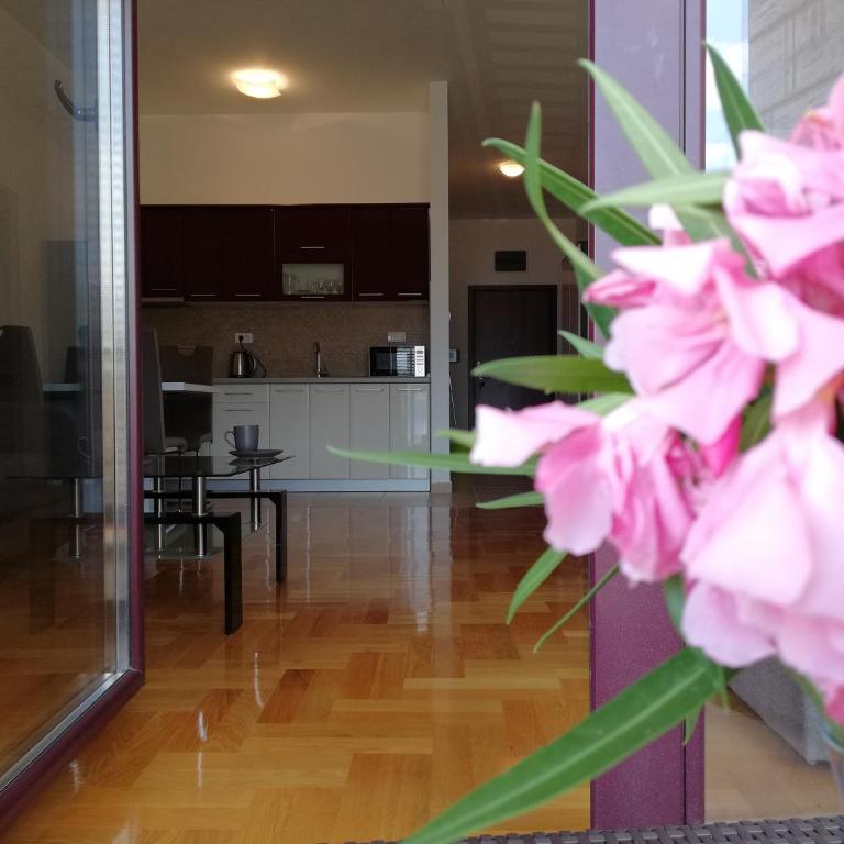 Apartment Anatolia of Becici - Studio - 5