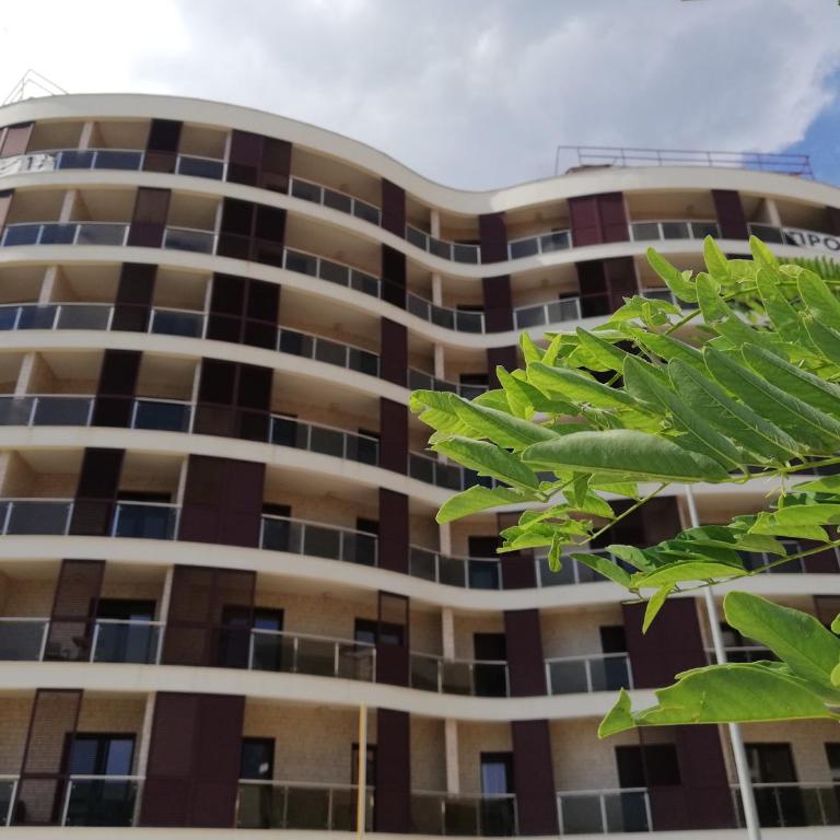 Apartment Anatolia of Becici - Studio - 19