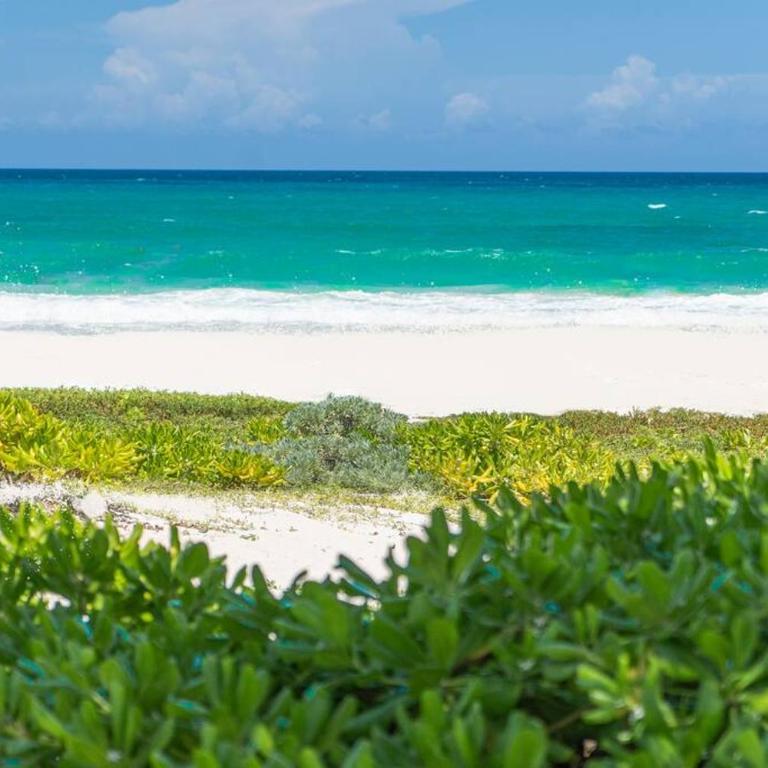 Villa Ixchel - right on the beach! - Villa - 56