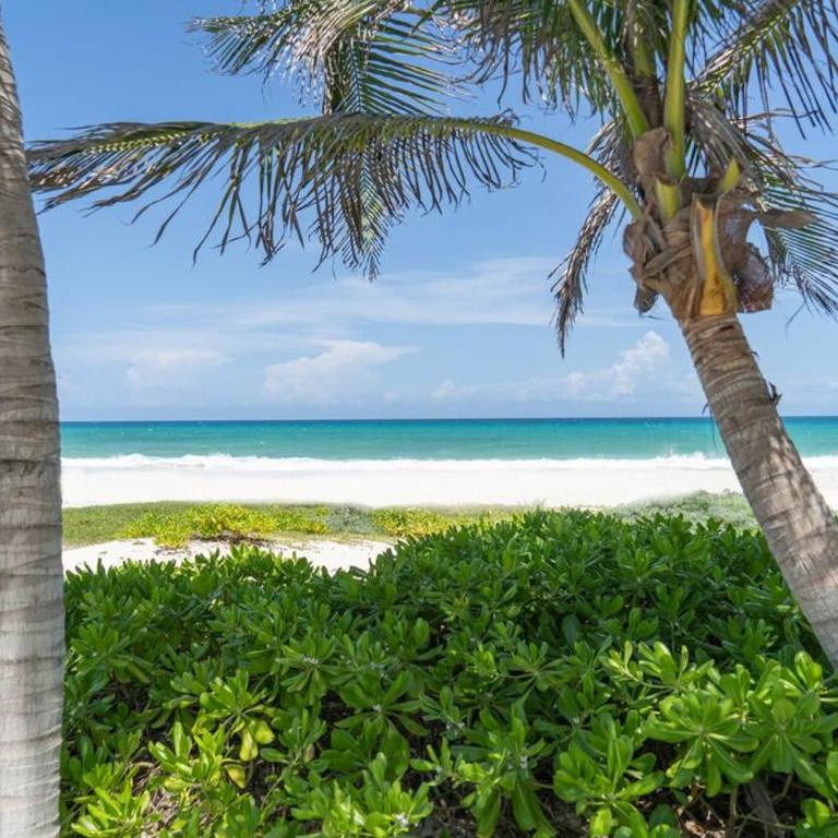Villa Ixchel - right on the beach! - Villa - 53