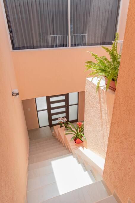 Villa Ixchel - right on the beach! - Villa - 32