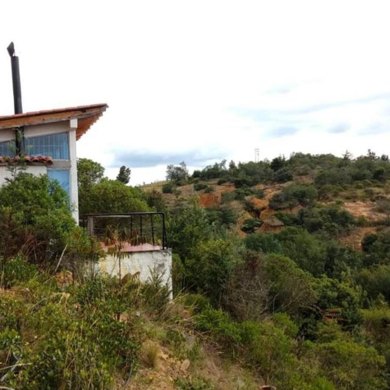 Cabaña vista al lago Tominė y Naturaleza Guatavita - Casa con 1 dormitorio - 19