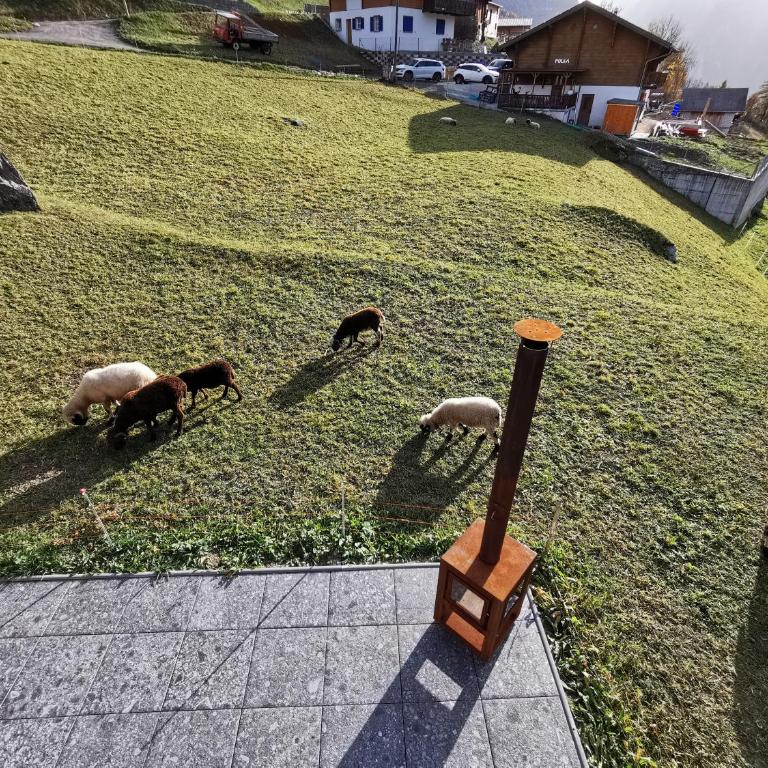 CHALET HÜTTLE - authentisch, ruhig, mitten im grün - Chalet con 3 Camere da Letto - 27