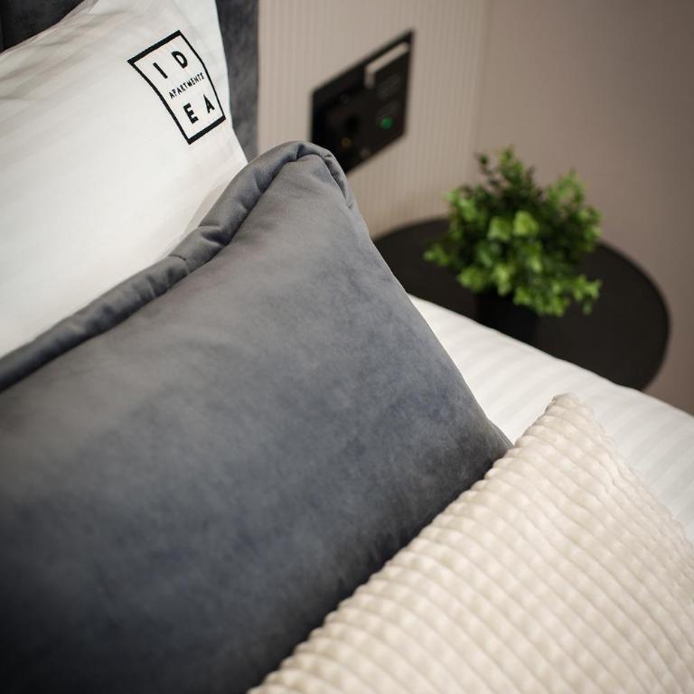 IDEA LUX Apartmani Kragujevac - Deluxe King Studio - 5