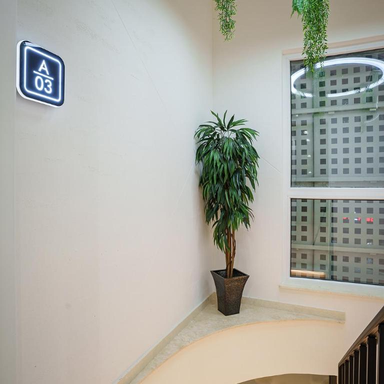 IDEA LUX Apartmani Kragujevac - Deluxe King Studio - 11