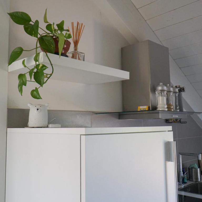 cozy apartment with Mole & hill view - Appartamento con 1 Camera da Letto - 12