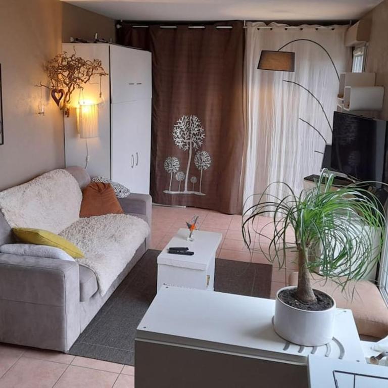 appart sympa confort bien situé - Studio Apartment - 1