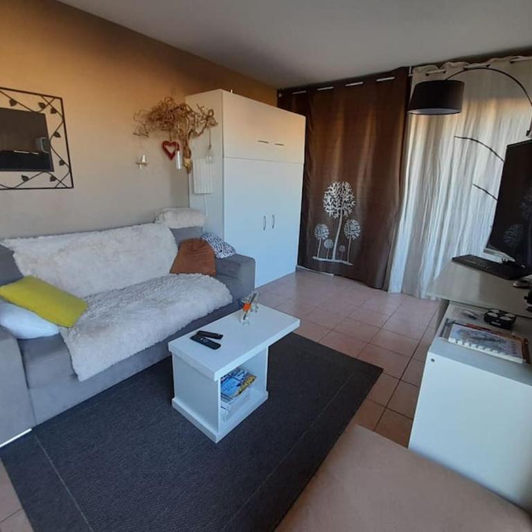 appart sympa confort bien situé - Studio Apartment - 17