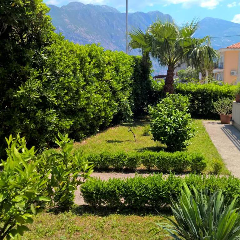 Apartments Dani - Apartment with Sea View - 46